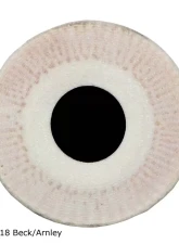 Beck/Arnley Engine Oil Filter 041-0840                                     - 041-0840 - Image 2