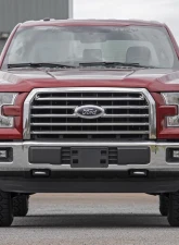 Rough Country 2" Front Leveling Strut Kit Ford F-150 2WD 2014-2020                                     - 501074 - Image 3
