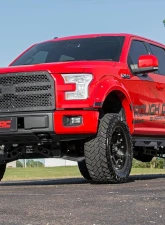 Rough Country Laser-Cut Mesh Replacement Grille Ford F-150 2015-2017                                     - 70191 - Image 6