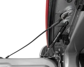 Rough Country Tailgate Assist Ram 1500 2WD | 4WD 2019-2025