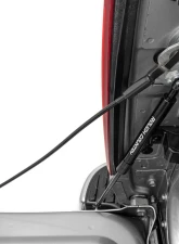 Rough Country Tailgate Assist Ram 1500 2WD | 4WD 2019-2025                                     - 73212 - Image 4