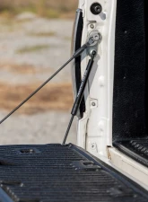 Rough Country Tailgate Assist Ford F-150 2WD | 4WD 2004-2014                                     - 73214 - Image 5