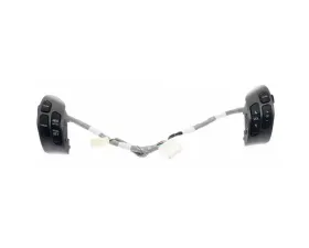 Intermotor Cruise Control Switch Standard Ignition CCA1011