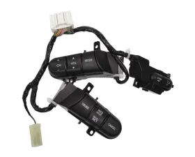 Intermotor Cruise Control Switch Standard Ignition CCA1107