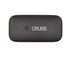 Intermotor Cruise Control Switch Standard Ignition CCA1116