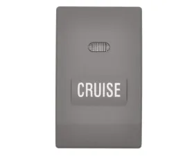 Intermotor Cruise Control Switch Standard Ignition CCA1175