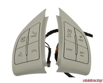 Intermotor Cruise Control Switch Standard Ignition CCA1236 - CCA1236