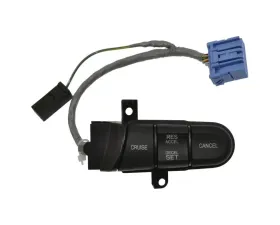 Intermotor Cruise Control Switch Standard Ignition CCA1239
