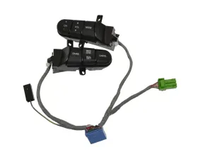 Intermotor Cruise Control Switch Standard Ignition CCA1241