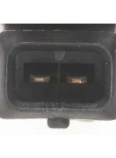 Intermotor Cold Start Valve Standard Ignition CJ36                                     - CJ36 - Image 3