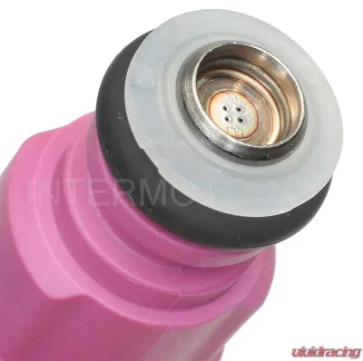 Intermotor Fuel Injector - MFI - New Standard Ignition FJ989 - FJ989