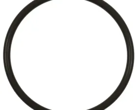 Fuel Pump O-Ring Standard Ignition GDR101