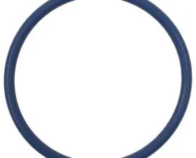 Fuel Pump O-Ring Standard Ignition GDR103
