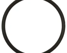 Fuel Pump O-Ring Standard Ignition GDR201