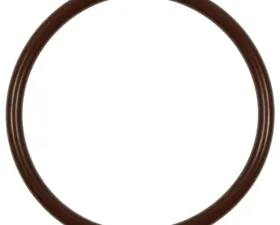 Fuel Pump O-Ring Standard Ignition GDR202