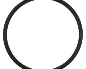Fuel Pump O-Ring Standard Ignition GDR204