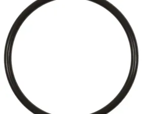 Intermotor Fuel Pump O-Ring Standard Ignition GDR403