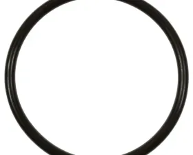 Intermotor Fuel Pump O-Ring Standard Ignition GDR501