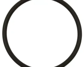 Intermotor Fuel Pump O-Ring Standard Ignition GDR504