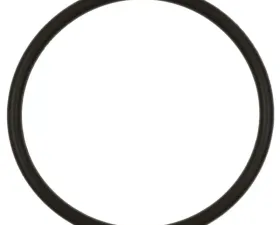 Intermotor Fuel Pump O-Ring Standard Ignition GDR506