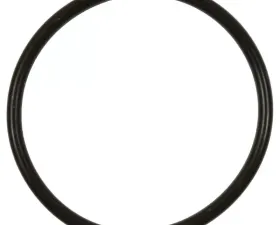 Intermotor Fuel Pump O-Ring Standard Ignition GDR507