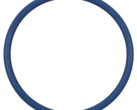 Intermotor Fuel Pump O-Ring Standard Ignition GDR601