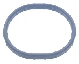 Intermotor Plenum Gasket Standard Ignition PG91