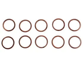 Fuel Injector Seal Kit - GDI Standard Ignition SK13