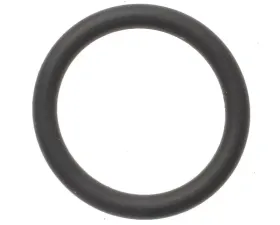 Intermotor Fuel Pressure Regulator O-Ring Standard Ignition SK31