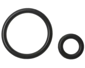 Fuel Rail O-Ring Kit Standard Ignition SK6