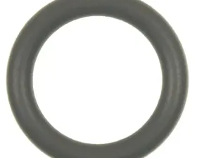 Fuel Pressure Regulator O-Ring Standard Ignition SK93