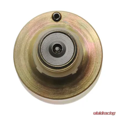 Fuel Injector - TBI - New Standard Ignition TJ25 - TJ25