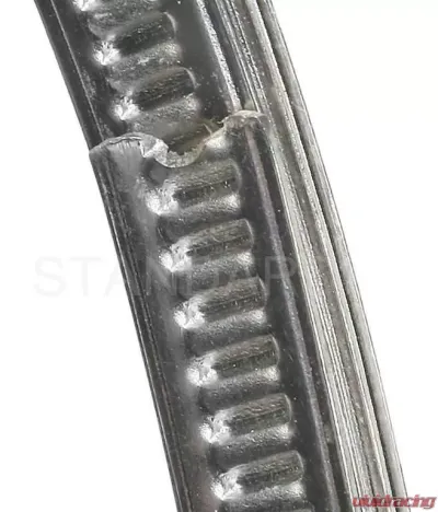 Tire Pressure Monitoring System Sensor Mounting Band Standard Ignition TPM1194 - TPM1194