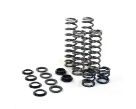 ZBroz Spring Kit FOX 2.0 Podium QS3 Shocks Polaris RZR XP 900 2011-2014