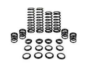 ZBroz Dual Rate Spring Kit Polaris RZS | General 2016-2020