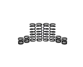 ZBroz Dual Rate Spring Kit Polaris General XP 1000 2020-2021