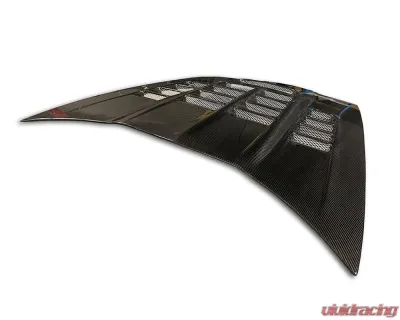 LG Motorsports World Challenge Pin-On Carbon Hood Chevrolet Corvette C6|C6 Z06|C6 GS 2005-2013 - LGWCPO
