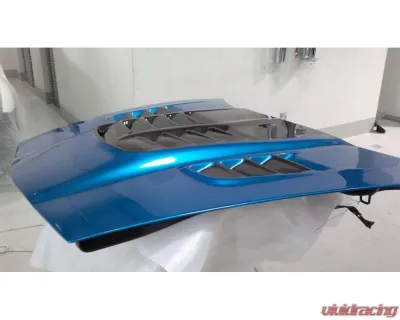 LG Motorsports World Challenge Pin-On Carbon Hood Chevrolet Corvette C6|C6 Z06|C6 GS 2005-2013 - LGWCPO