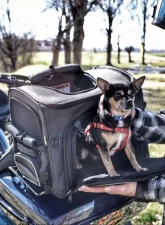 Nelson-Rigg Route 1 Rover Pet Carrier                                     - NR-240 - Image 20