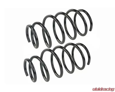 Mevotech Supreme Coil Spring Set Rear - SMS250137