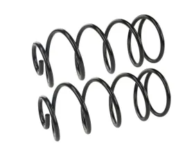 Mevotech Supreme Coil Spring Set Buick Skylark Rear 1964-1965