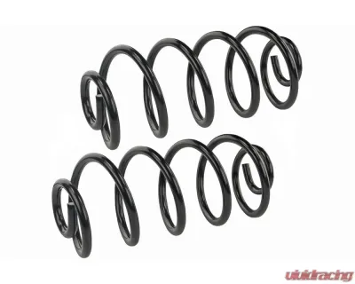 Mevotech Supreme Coil Spring Set Rear - SMS5383