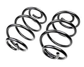 Mevotech Supreme Coil Spring Set Buick Special Rear 1967 4.9L V8