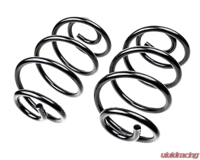 Mevotech Supreme Coil Spring Set Buick Special Rear 1967 4.9L V8 - SMS5385