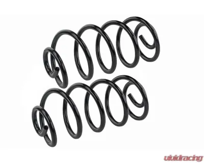 Mevotech Supreme Coil Spring Set Rear - SMS5417