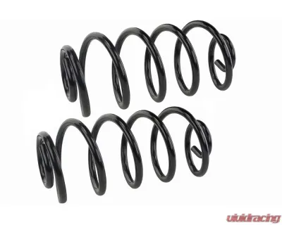 Mevotech Supreme Coil Spring Set Rear - SMS5419