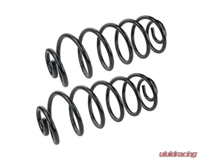 Mevotech Supreme Coil Spring Set Rear - SMS5455