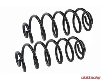 Mevotech Supreme Coil Spring Set Rear - SMS5541