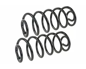 Mevotech Supreme Coil Spring Set Buick Rear