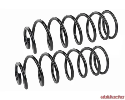 Mevotech Supreme Coil Spring Set Rear - SMS5665